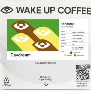 Daydream